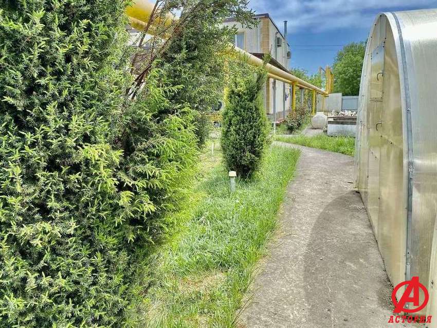 Фотография Универсальное помещение 400.00 м² #26