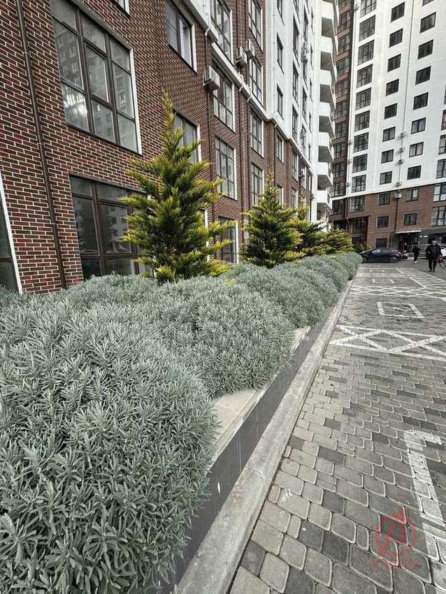 Основная фотография 1-к. квартира 29.44 м² 