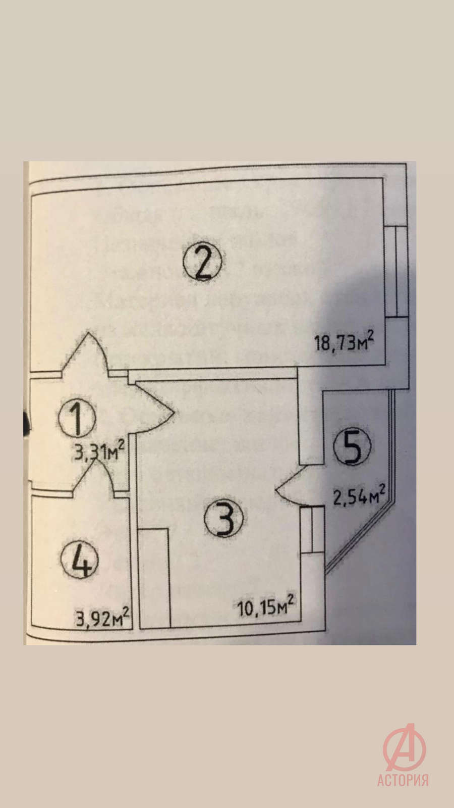 Фотография 1-комн. квартира 38.00 м² #3