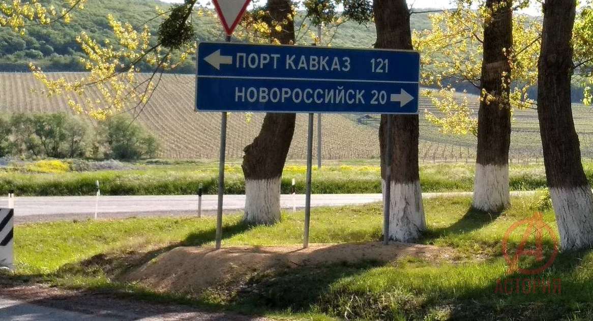 Фотография Земельный участок 5.00 сот. #3