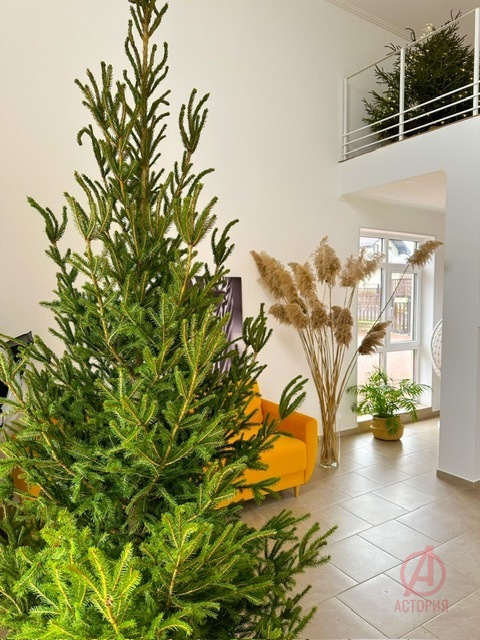 Фотография 188.00 м² на участке 6.60 сот. #7