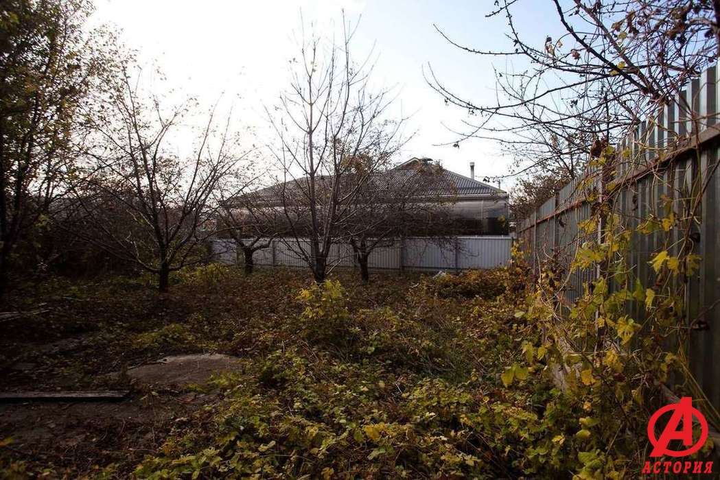 Фотография Дом 221.00 м² на участке 7.72 сот. #5