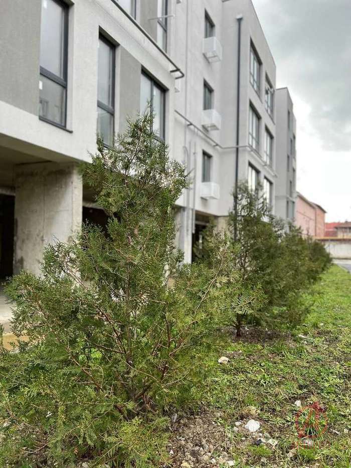 Фотография 1-к. квартира 46.00 м² #2