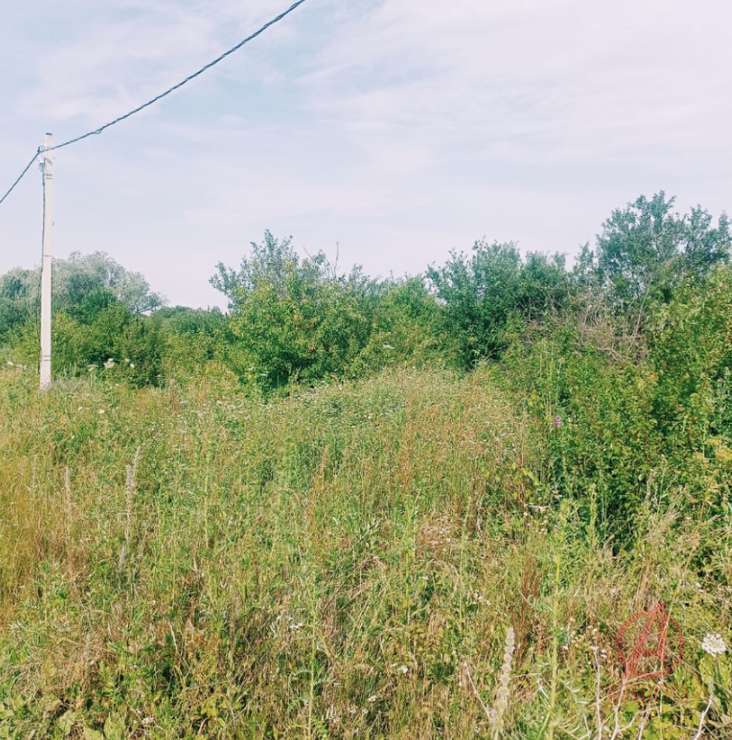 Фотография Земельный участок 7.00 сот. #5
