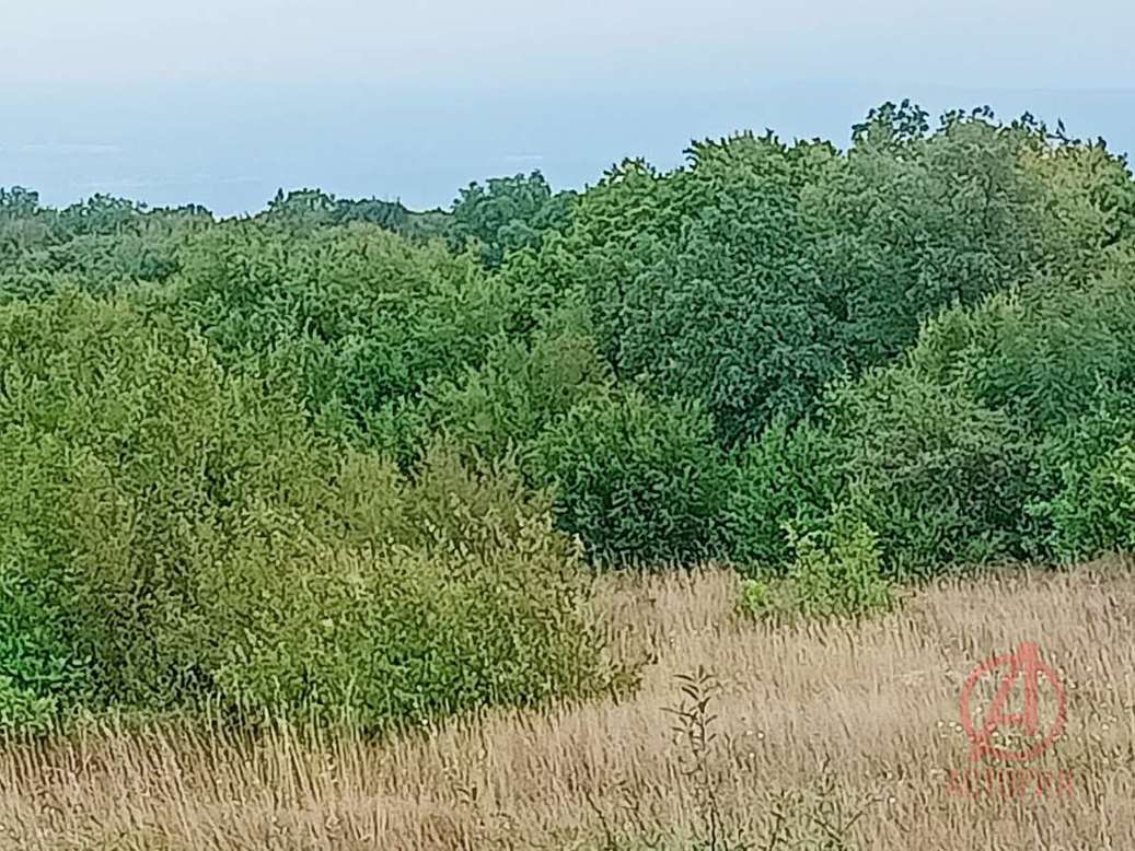 Фотография Земельный участок 6.00 сот. #1