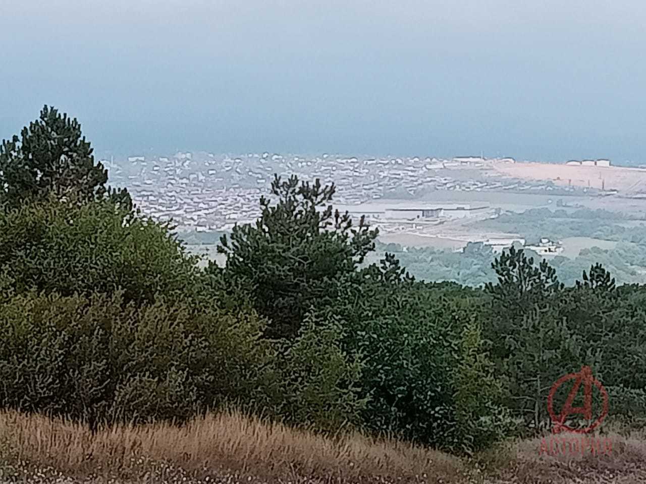 Фотография Земельный участок 6.00 сот. #3
