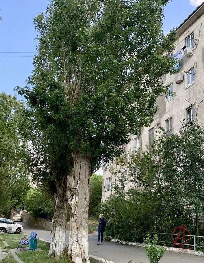 Фотография 1-к. квартира 18.00 м² #10