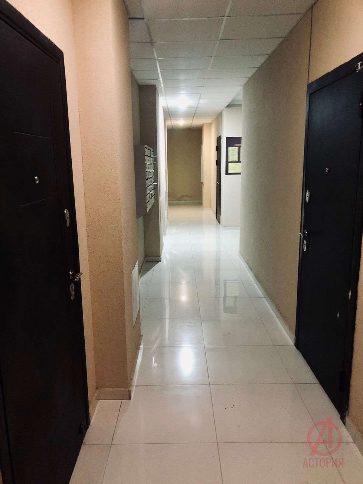 Фотография 1-к. квартира 21.30 м² #1