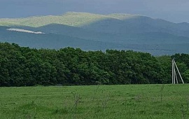 Участок 6.50 сот. 